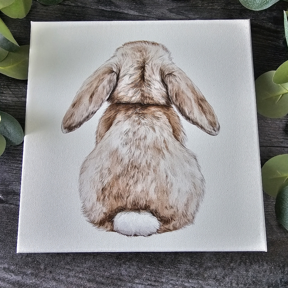 Brown and White Bunny Art Print